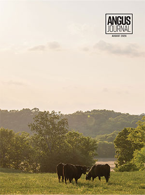 August Angus Journal