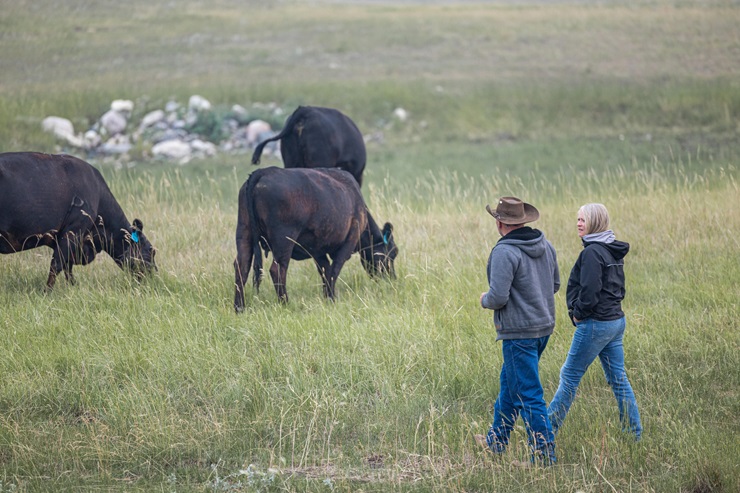 couple walking in pasture 