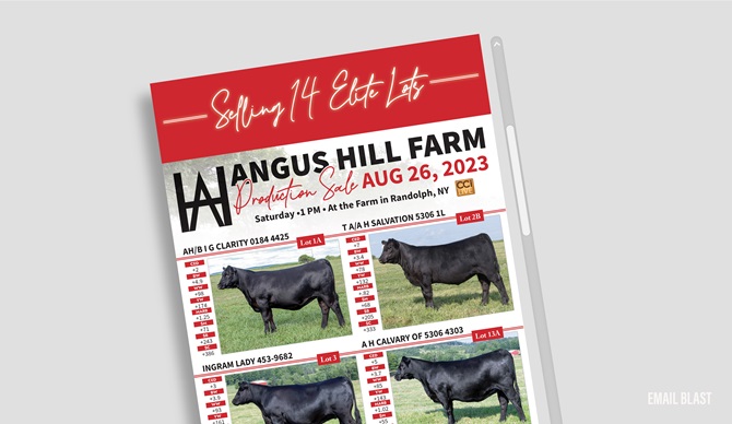 Angus Hill Email Blast Designed by Angus Media