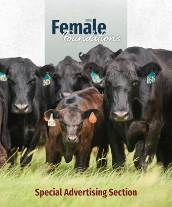 2026-Female-Foundation cover