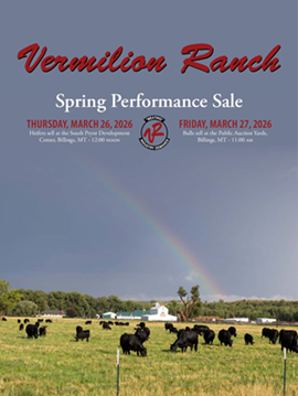 Vermillion Sale Book