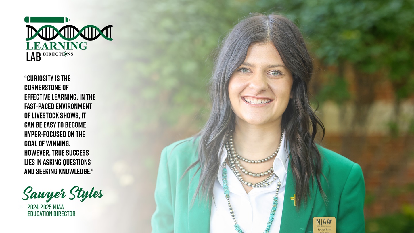 Sawyer Styles - Learning Lab