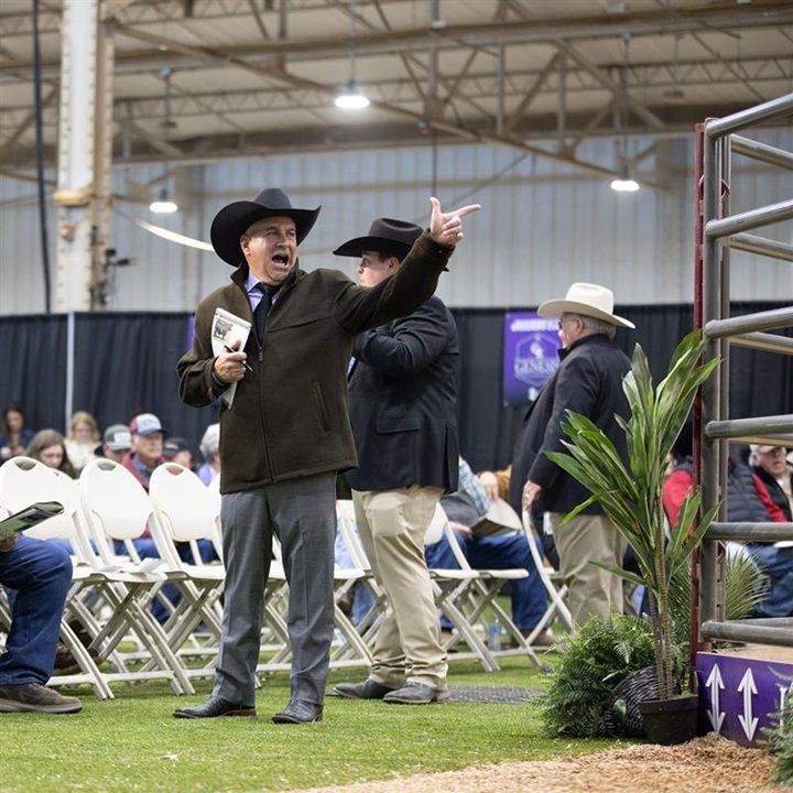 Jeff Mafi, Regional Manager for Oklahoma and Kansas, takes a bid at the National Angus Bull Sale in Oklahoma, City.
