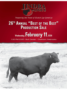 Jindra Sale Book Cover