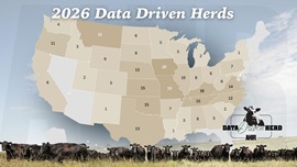  A map of the United States of America displaying density of participating herds in the Data Driven Herd program by state.