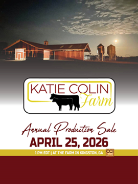 Katie Colin Farm Sale Book Cover