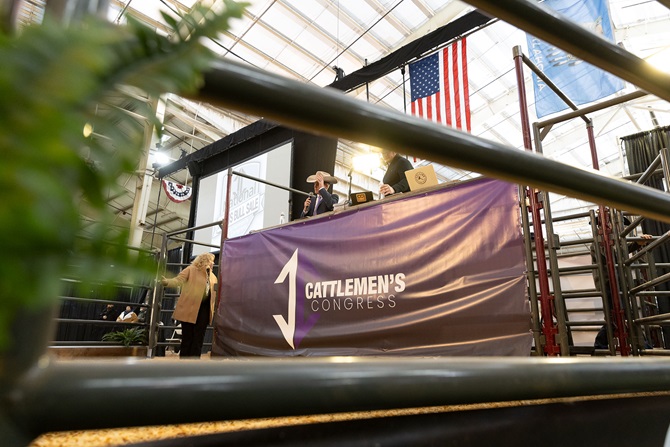 2025 Foundation Heifer Package Sale Event