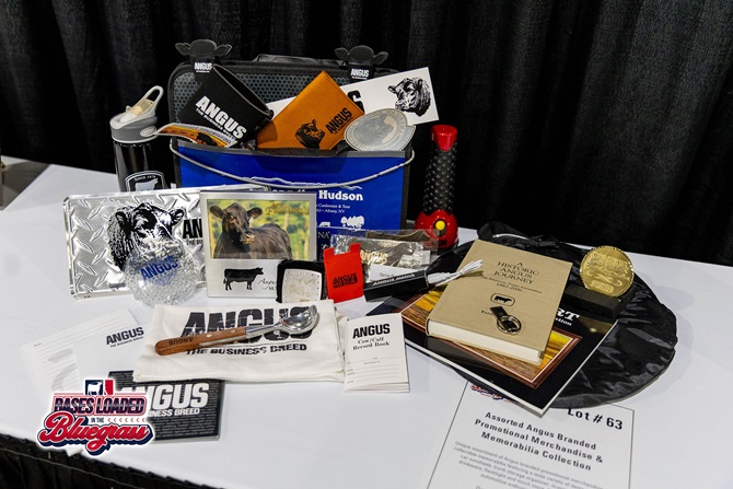Collection of Angus-branded merchandise and memorabilia arranged as a silent auction package.