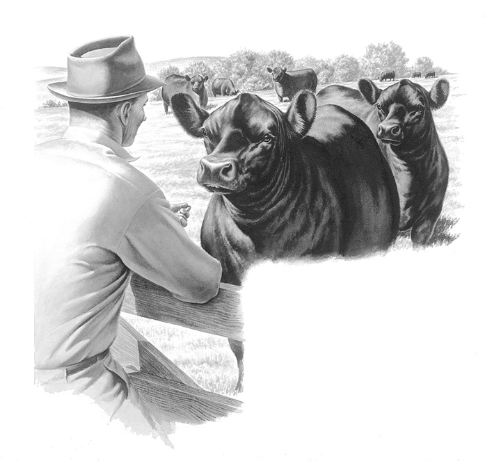 Frank Murphy charcoal drawing of a producer looking at his bulls at a pasture gate.