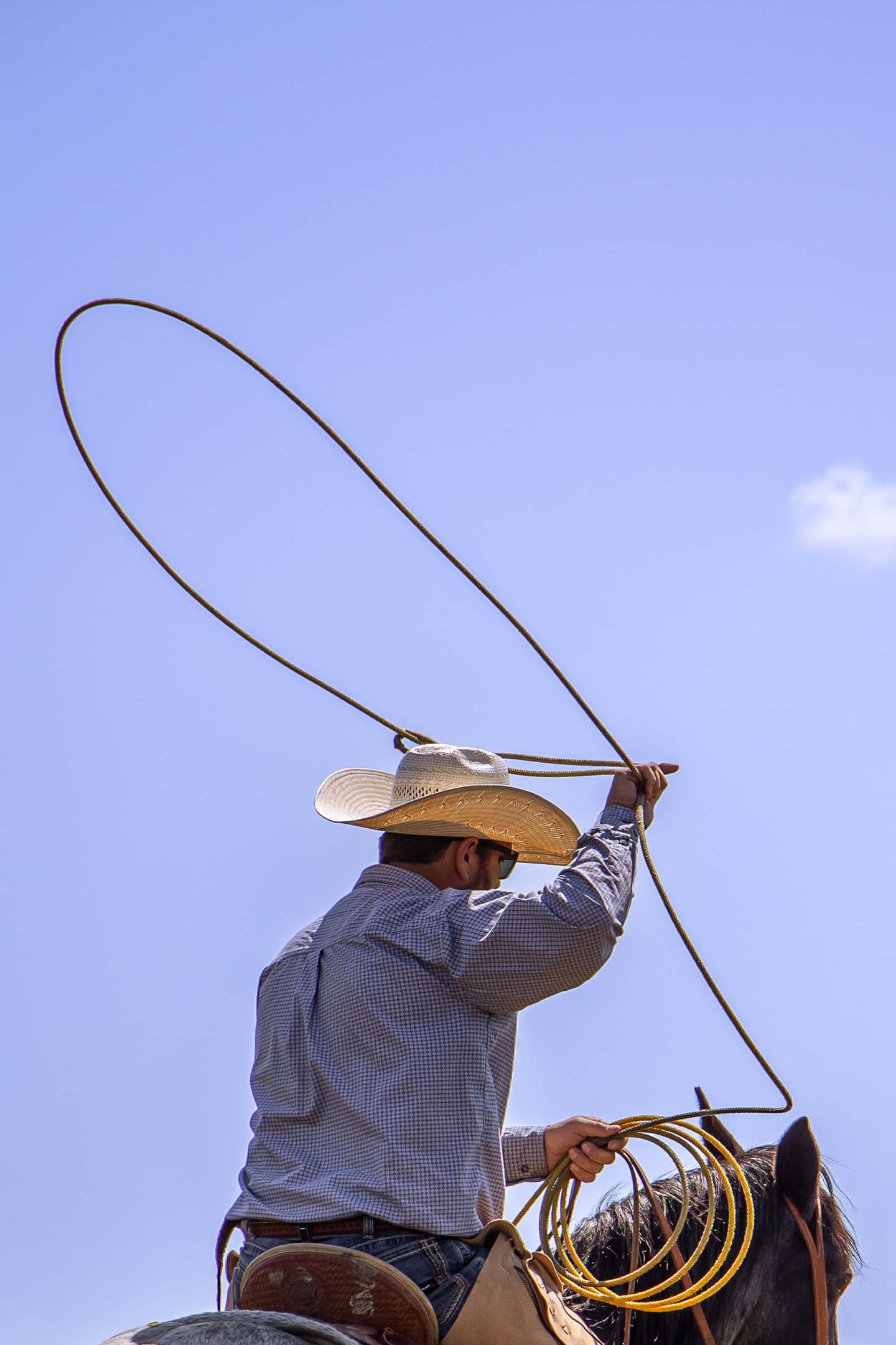Lassos and Blue Skies - man on a horse swinging a rope