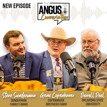 The Angus Conversation