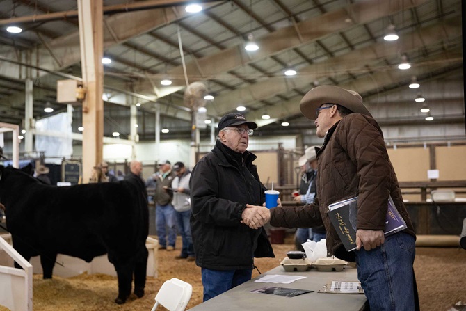 2024 Angus Foundation Heifer Package