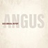 2025 Annual Report - American Angus Association