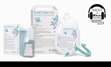 Boxes and jugs of cattle external paracite product.