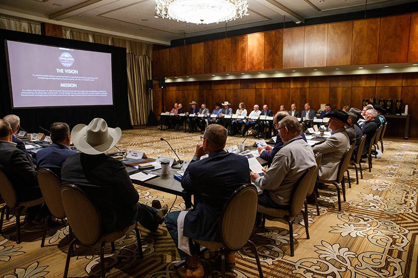 Common Ground Summit issues