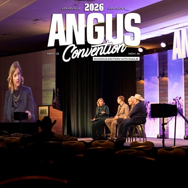 Angus Convention