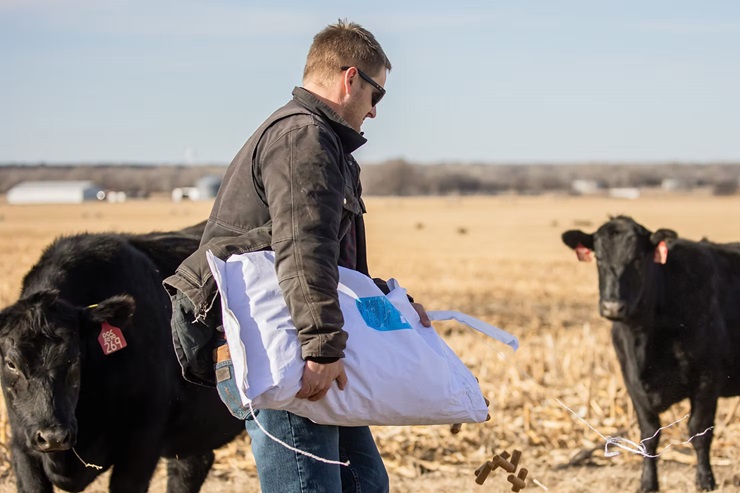 Dave Johnson feeding cattle