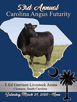 Carolina Futurity Sale Book Cover