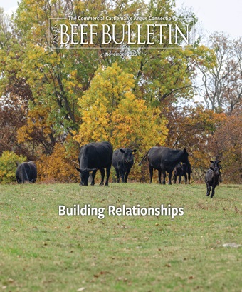 2026 November Angus Beef Bulletin cover