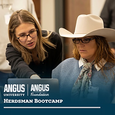 Two participants collaborate at a laptop during an Angus University Herdsman Bootcamp training session.
