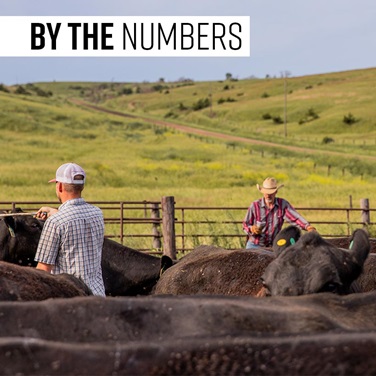 By the Numbers