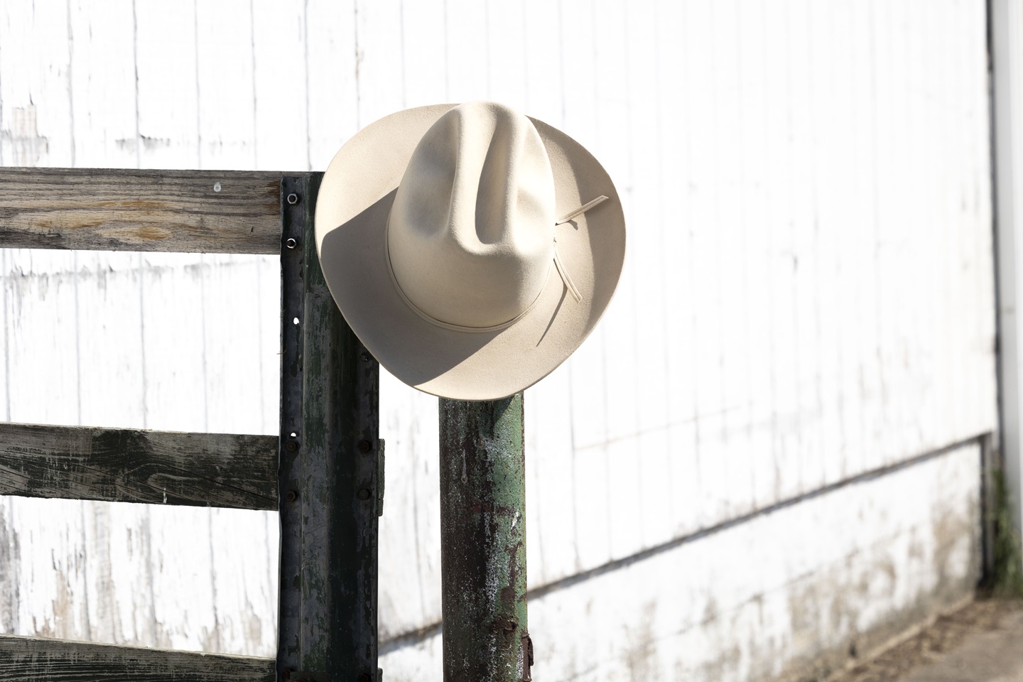 HarlanRitchieHeritag