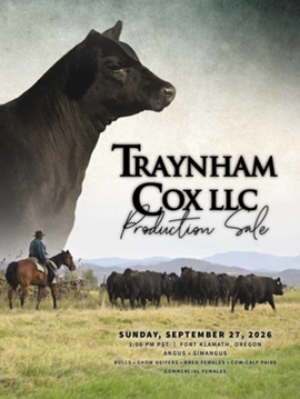 Traynham Cox LLC