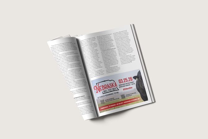 NE Bull Test Ad designed by Angus Media