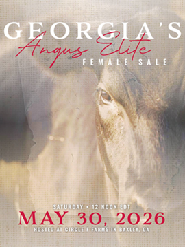 Georgia's Angus Elite Female Sale Book Cover
