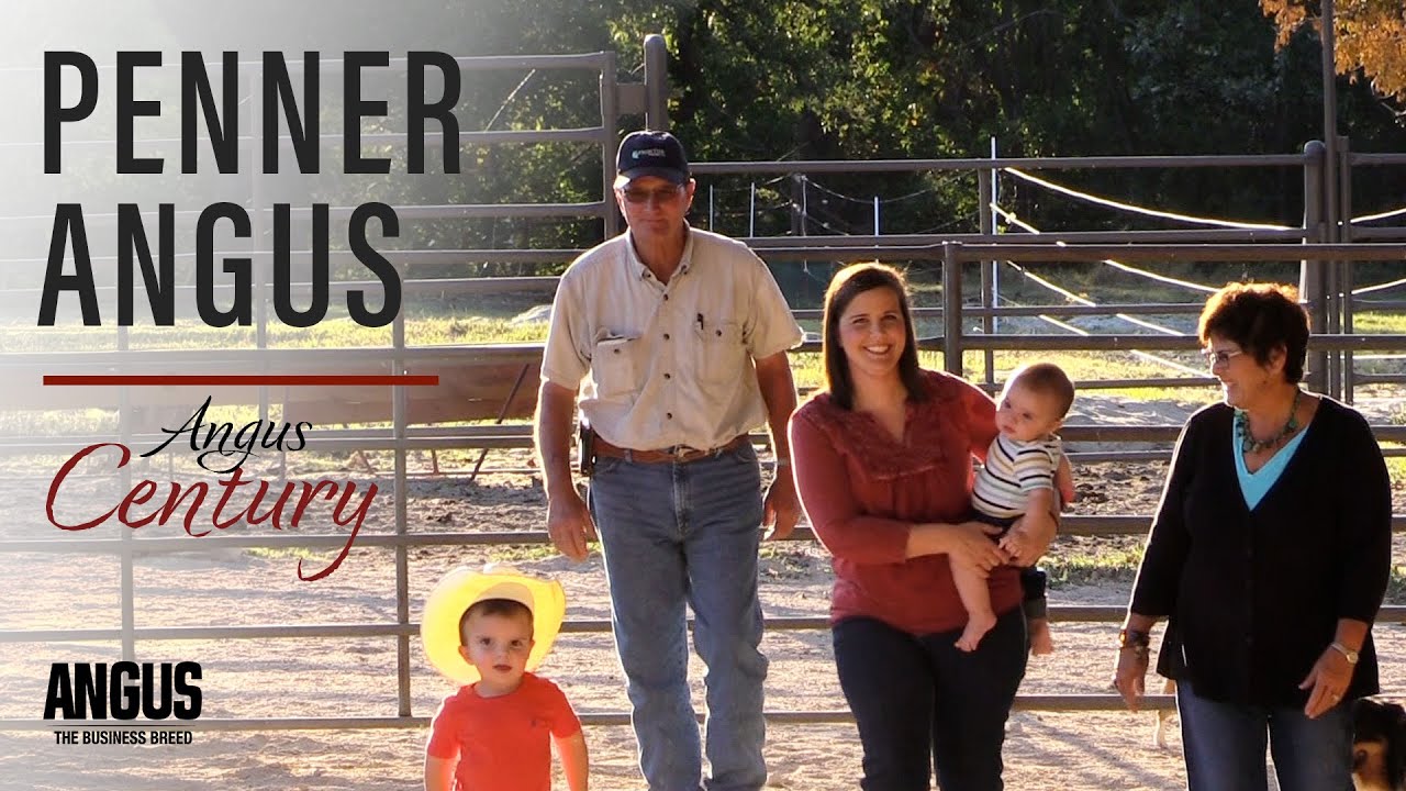 I am Angus - Penner Angus Century award