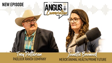 The Angus Conversation