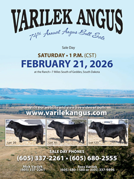 Varilek Angus Ranch