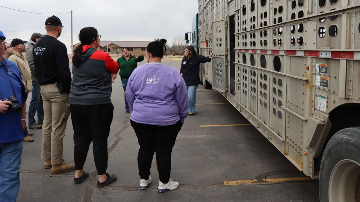 people outside a cattle truck