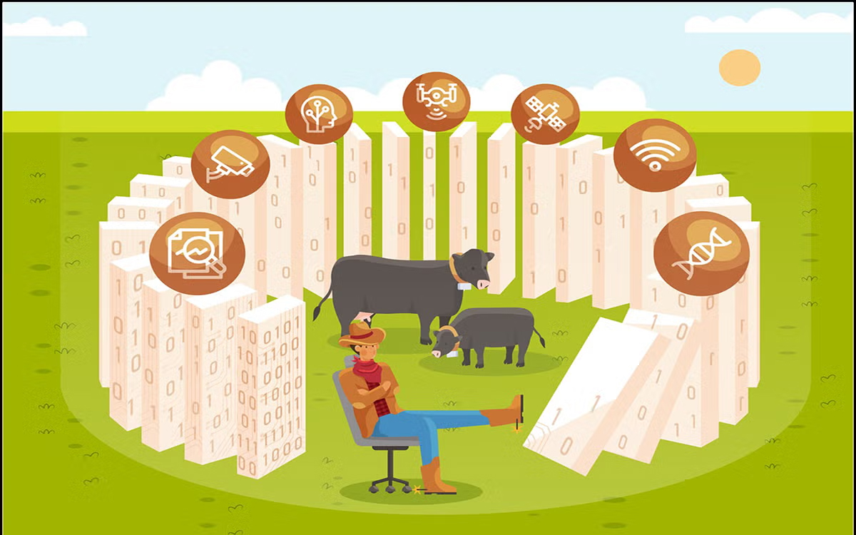 Figure 1. The first domino represents a rancher making a management decision. They may apply one or multiple management interventions. However, the consequences are often delayed and hard to anticipate (the last domino). (Menendez et al., 2026).