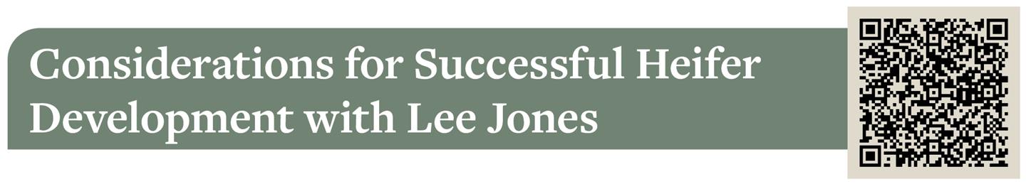 Considerations for Successful Heifer Development with Lee Jones