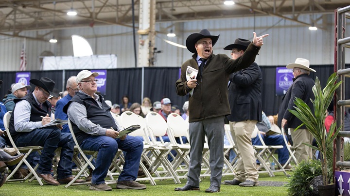 Jeff Mafi, Regional Manager for Oklahoma and Kansas, takes a bid at the National Angus Bull Sale in Oklahoma, City.