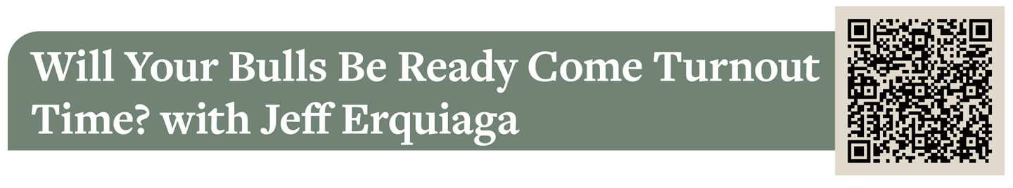 Will Your Bulls Be Ready Come Turnout Time? with Jeff Erquiaga