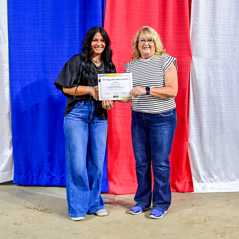 Foundation Scholarship