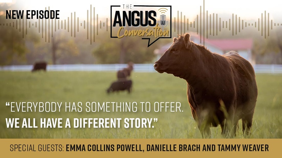 The Angus Conversation