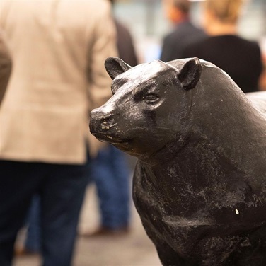 A bronze Angus bull status stands in the American Angus Association office headquarters.
