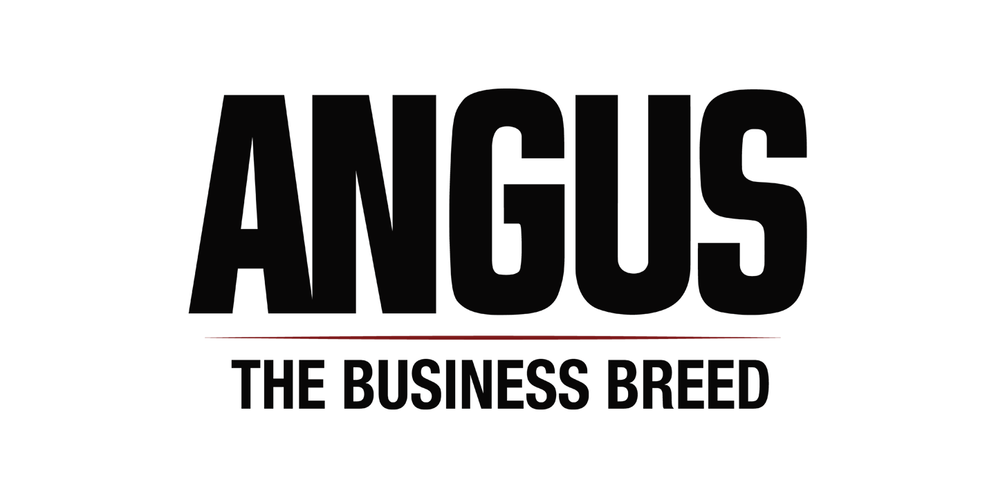 American Angus logo