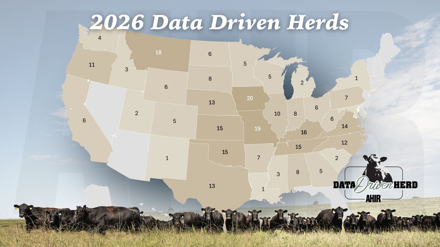  A map of the United States of America displaying density of participating herds in the Data Driven Herd program by state.