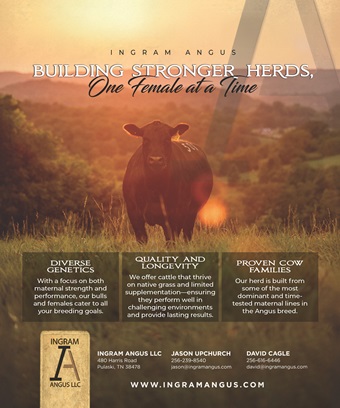Ingram ad
