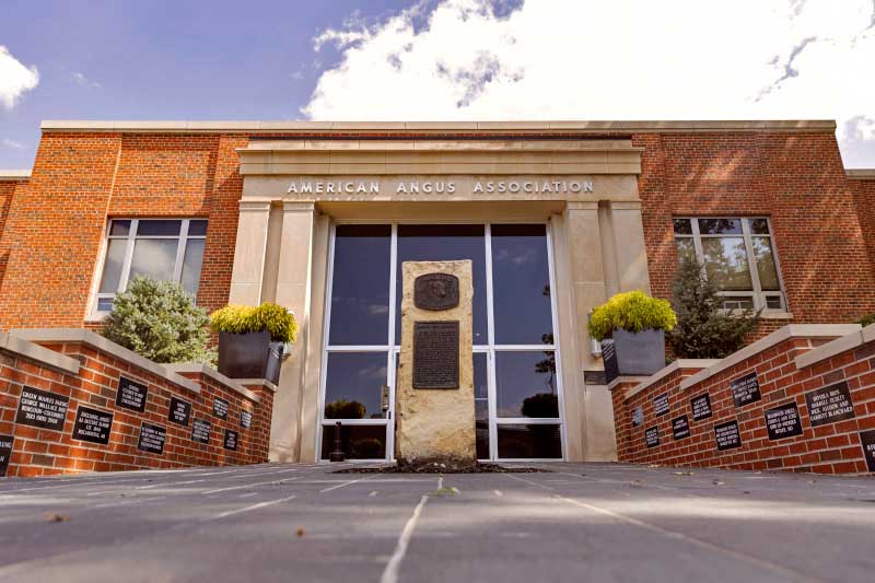 Front of American Angus Association office.