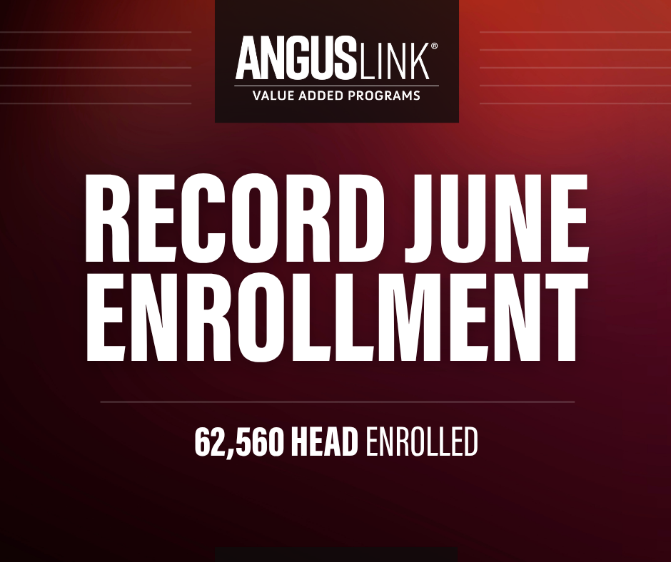 Record Enrollment