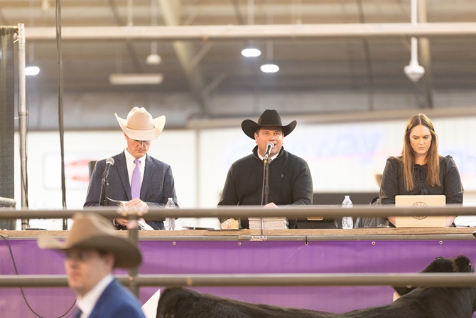 2025 Foundation Heifer Package Sale Event