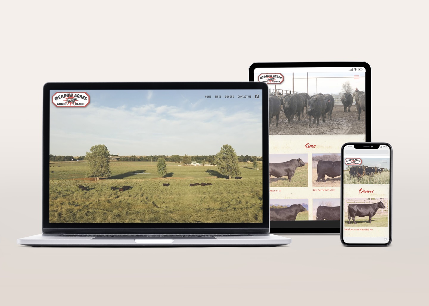 Meadow Acres Website Mockup