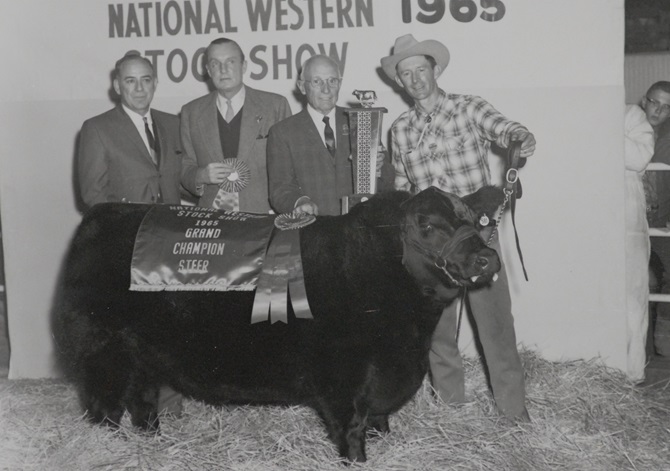 1965_Nationalwester_steer