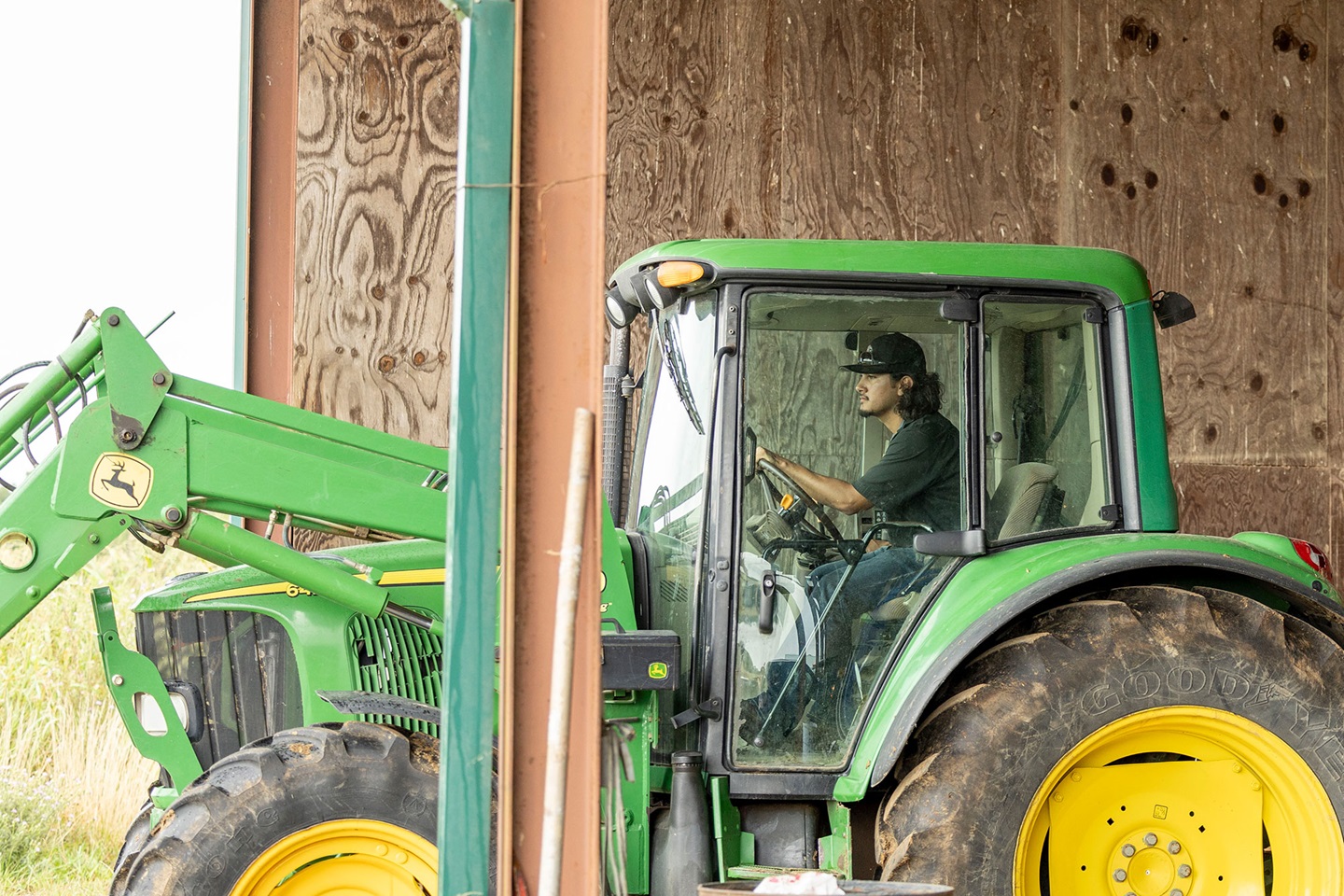 A student intern drives a tractor to put out hay for cattle on the farm he is working at for the summer.