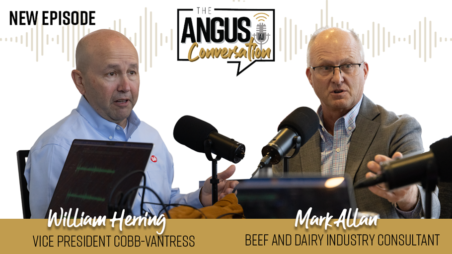 The Angus Conversation